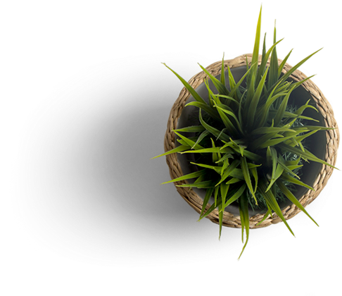 bclub.tk portal decoration